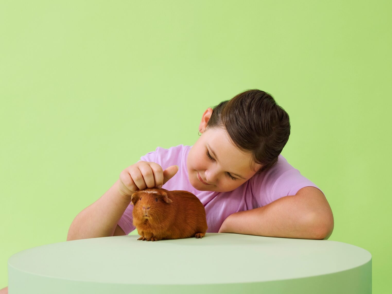 A girl patting her guinea pig. Bonding with your pets is an important part of taking care of guinea pigs