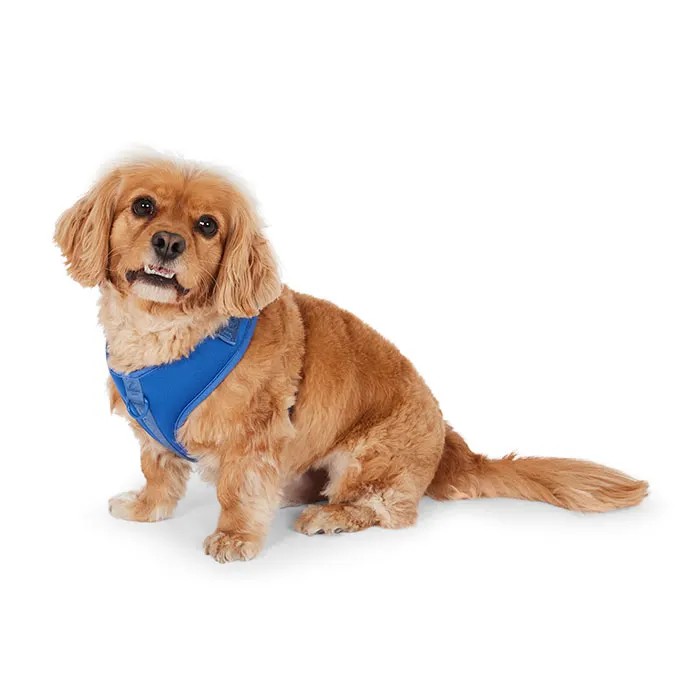 Juni Logo Dog Harness