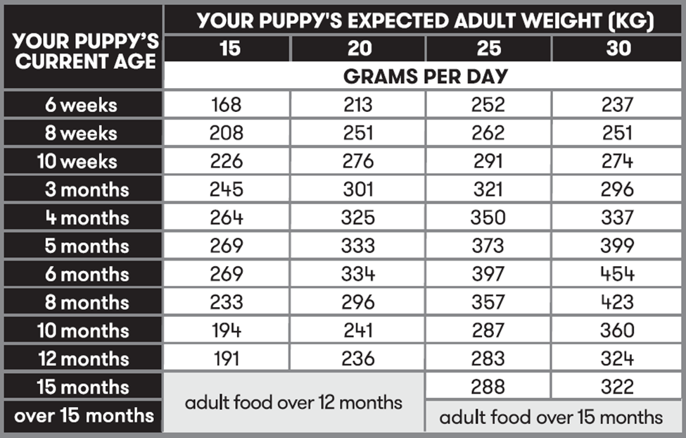 A table showcasing roughly how much your puppy is eating per day as they grow.