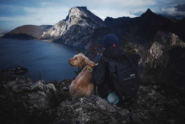 owner sitting with their dog after a hike